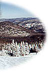 Mt-Tremblant: Quebec: Laurentians: lodging, hotels, inns, bed and breakfast, restaurants,
snowmobile, mt-tremblant park, cross country skiing, alpine ski, hotel, inn.